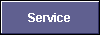  Service 